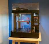 Impressora 3D da marca RAISE3D - Excelente estado / Pouquissimo Uso