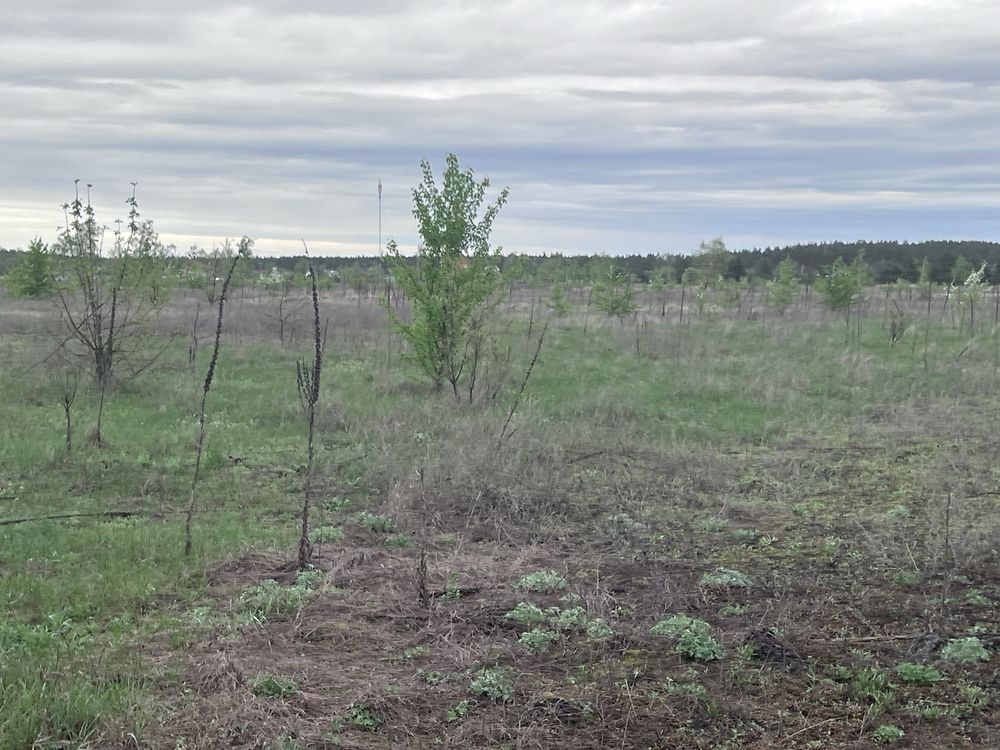 Продам земельну ділянку 4,4 Га на каналі Лебедівка