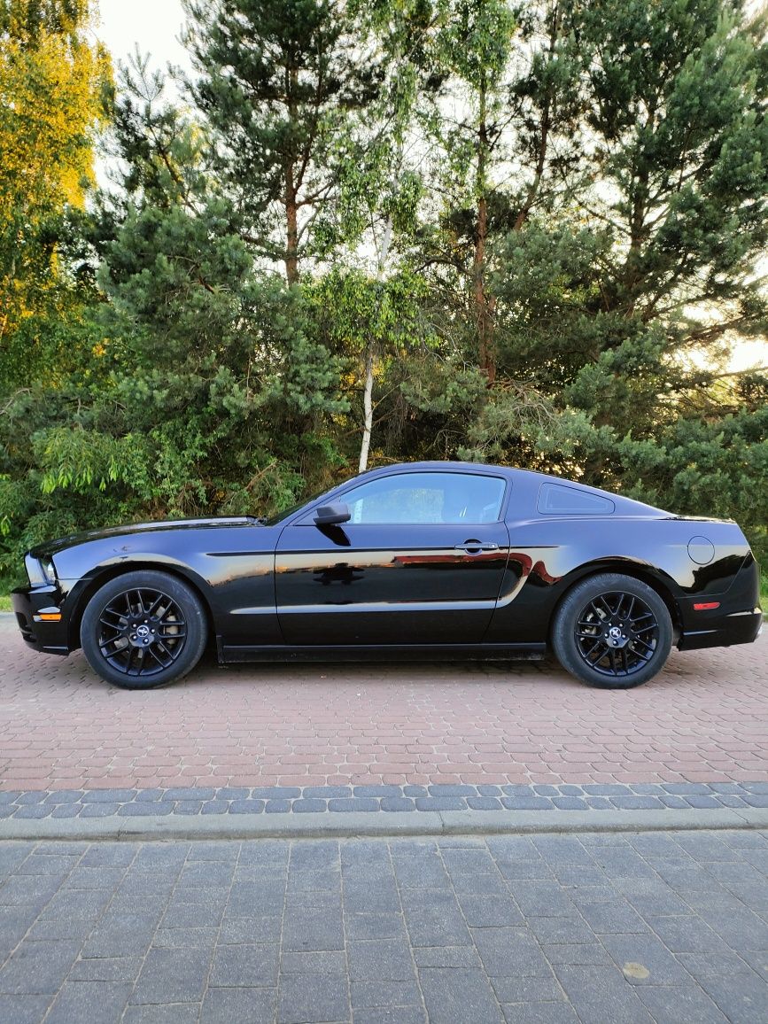 Ford Mustang V 2014r. 3.7 V6 manual