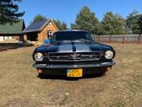 Ford Mustang Ford Mustang 1965