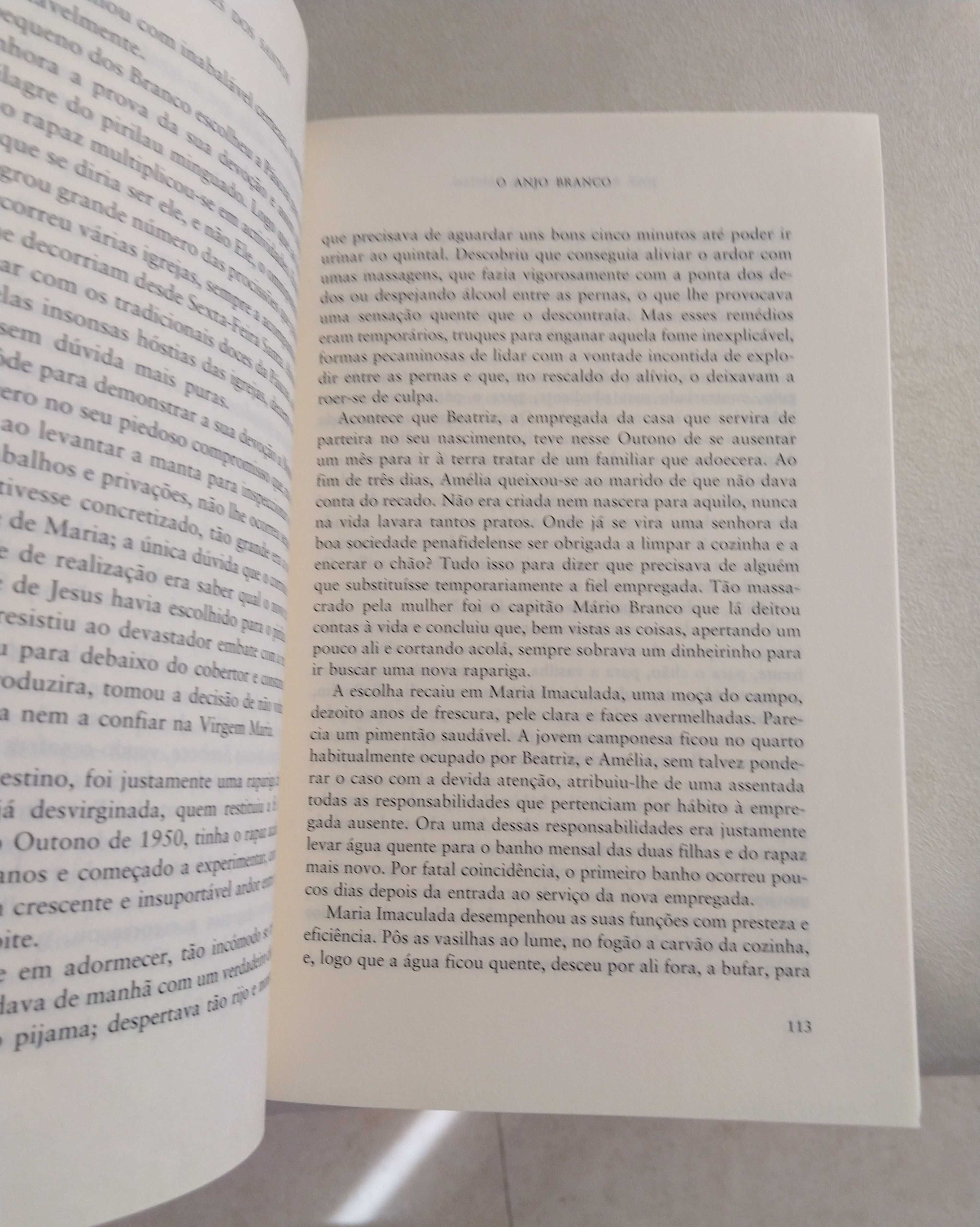 O Anjo Branco de José Rodrigues dos Santos em ótimo estado.