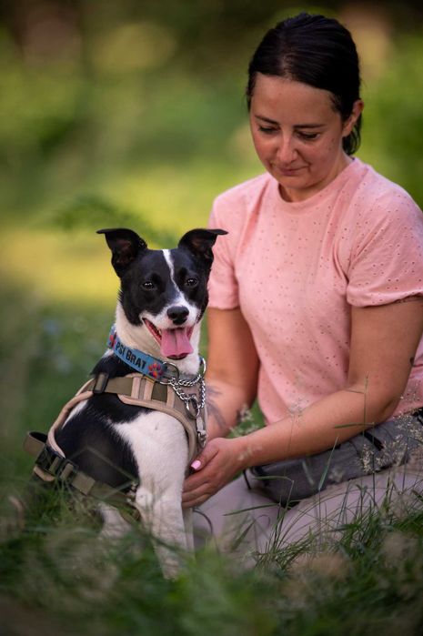 Modi – młody psiak szuka cierpliwego i spokojnego domu