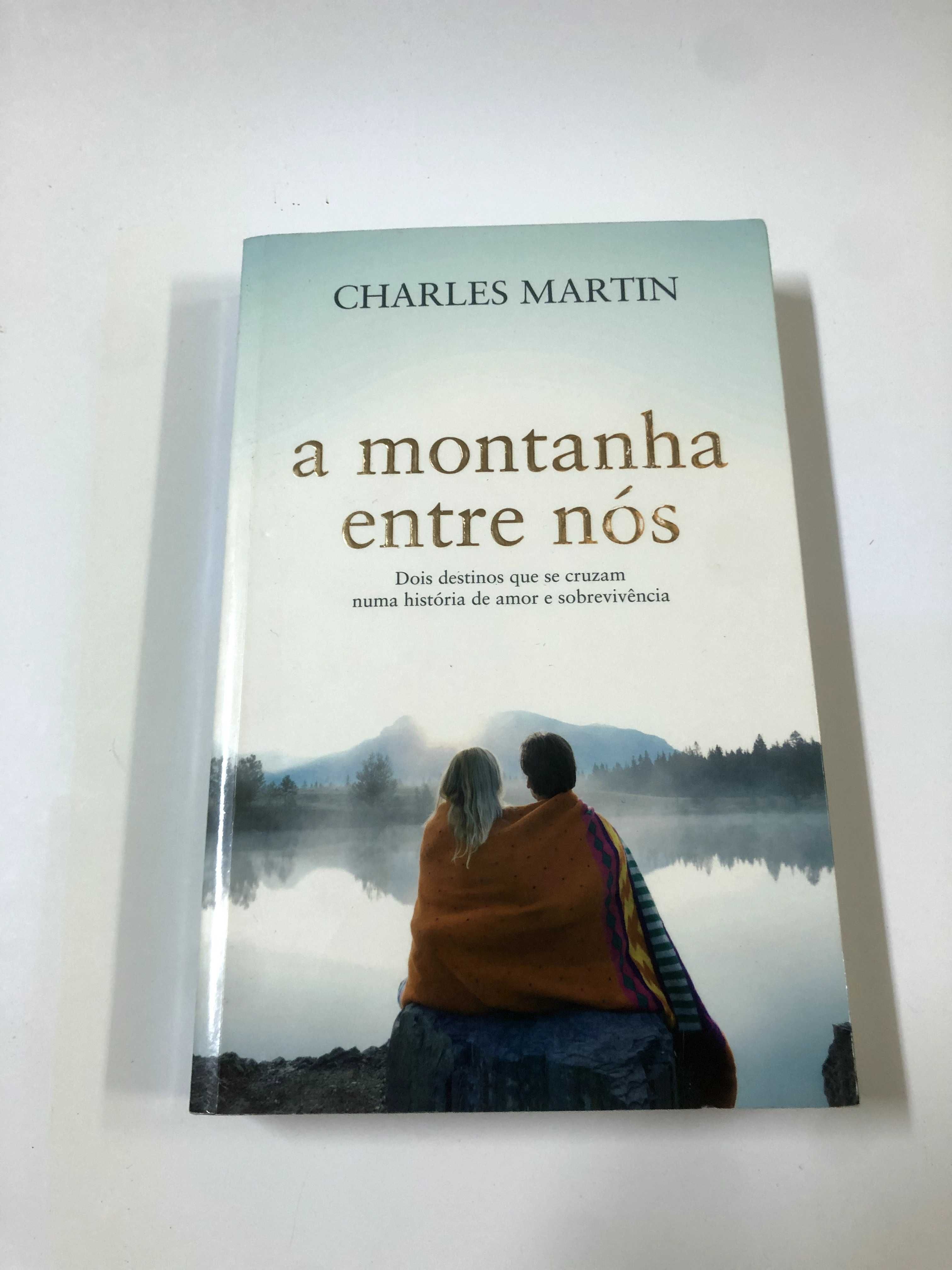 Livro - A montanha entre nós