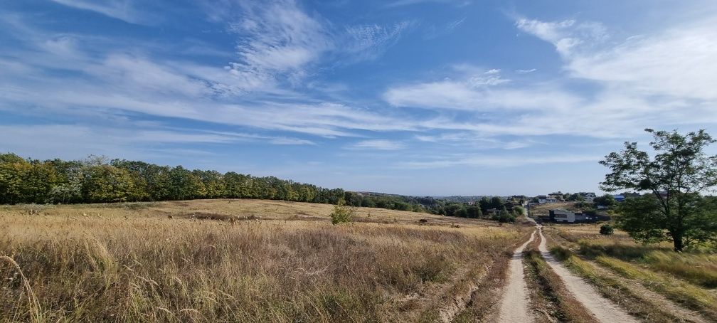 Земельна ділянка 5.72 га с. Лесники Лісники Обухівский район