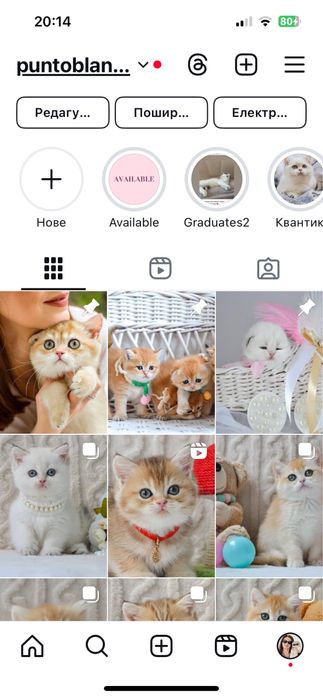 Розкішні пухнастики