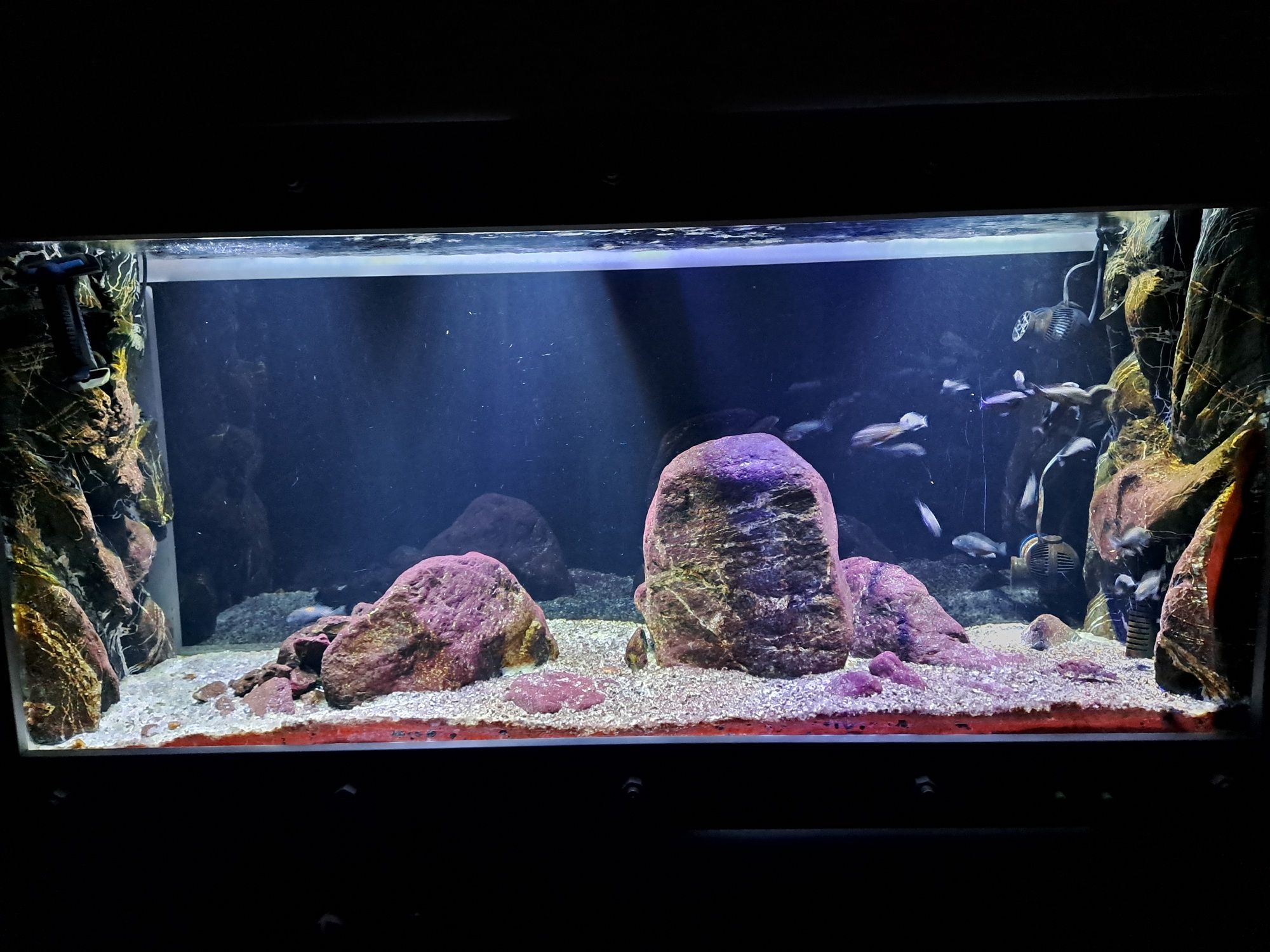 Akwarium 400l wraz z zyciem i calym osprzetem.
