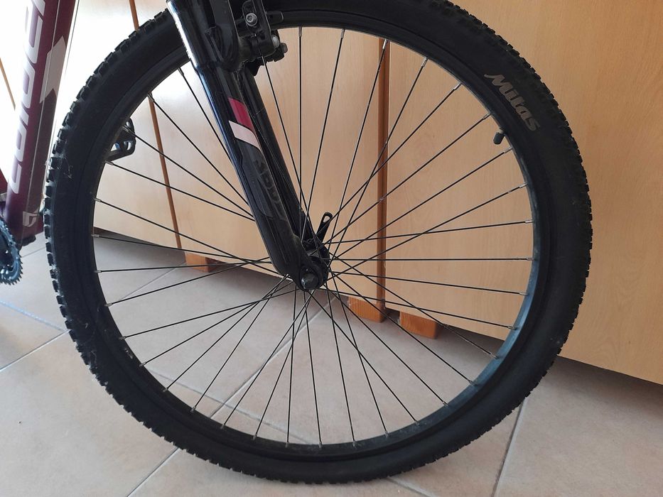 Bicicleta nova coluer