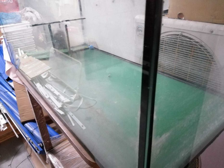 Tartarugueira grande