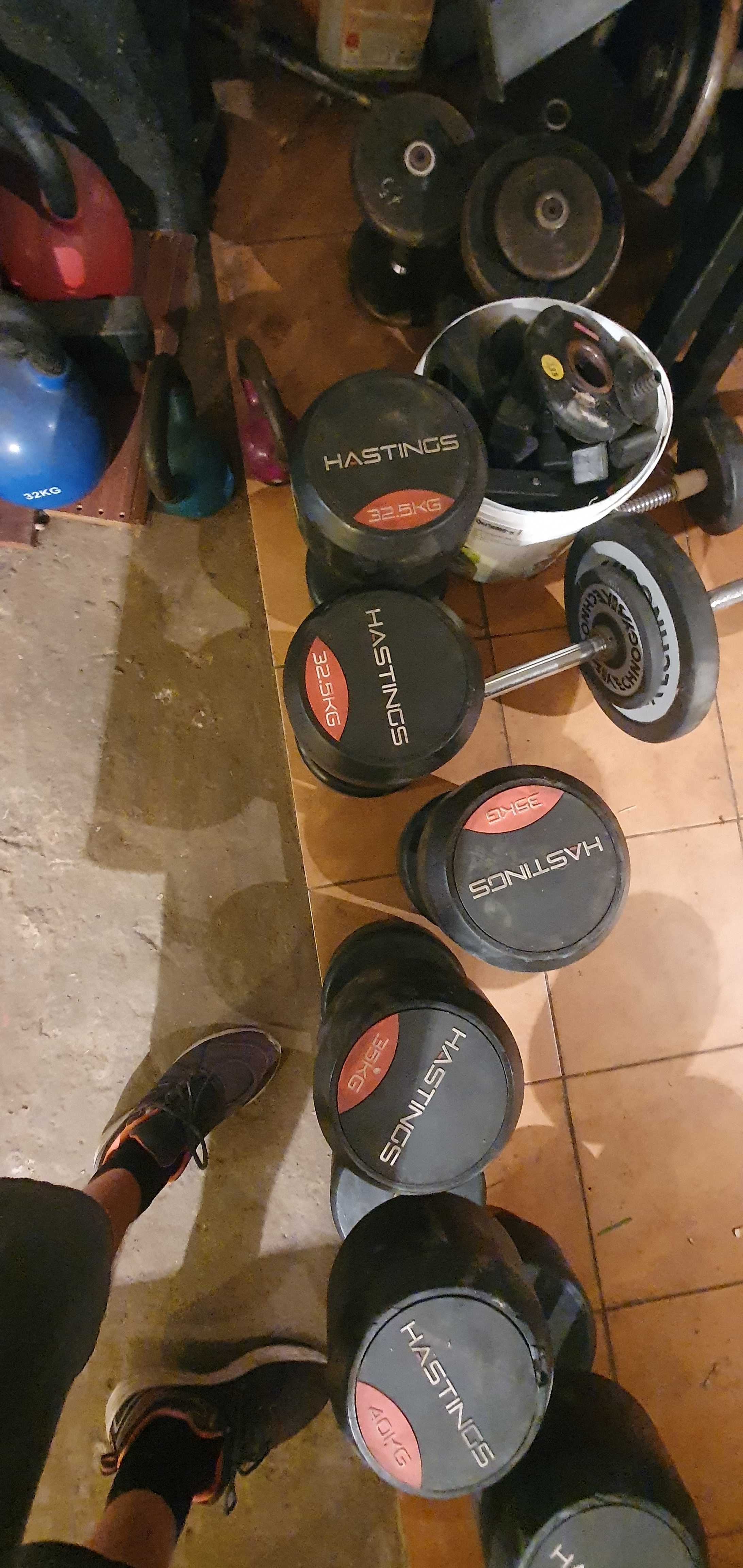 Zestaw hantli Hastings 32.5kg - 40kg