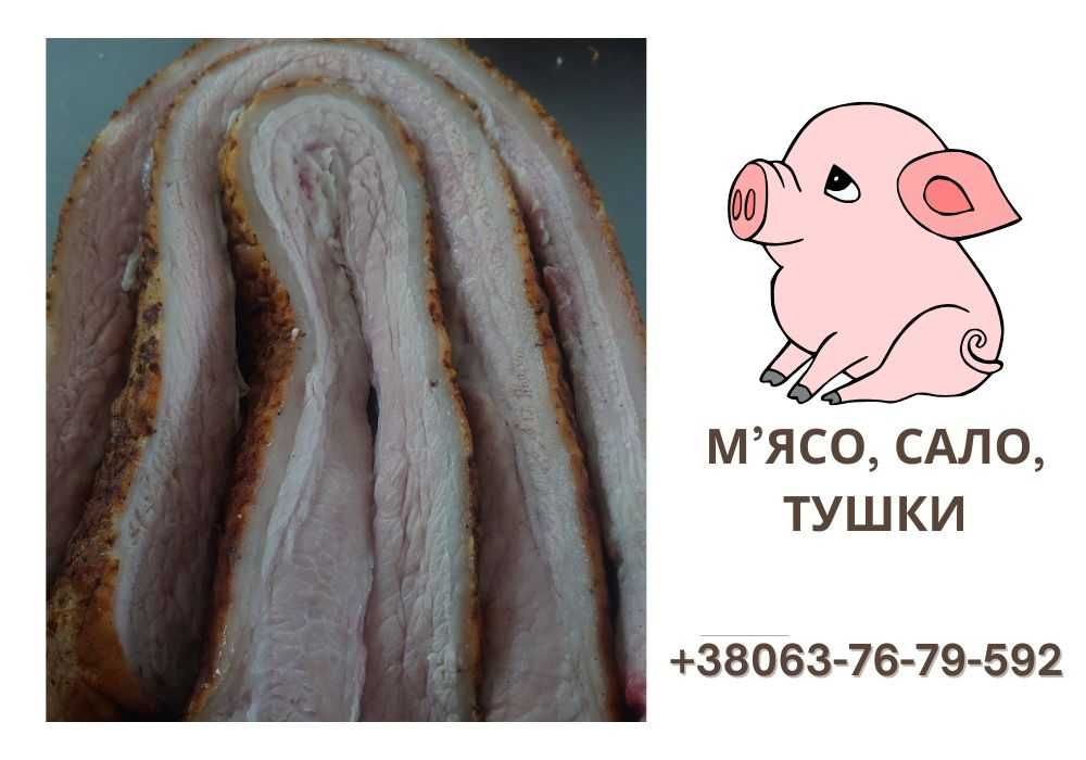 М'ясо, Сало. Охолоджені тушки свинини з відмінною якістю м’яса та сала