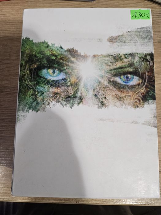 Mystical Shaman Oracle Caeds