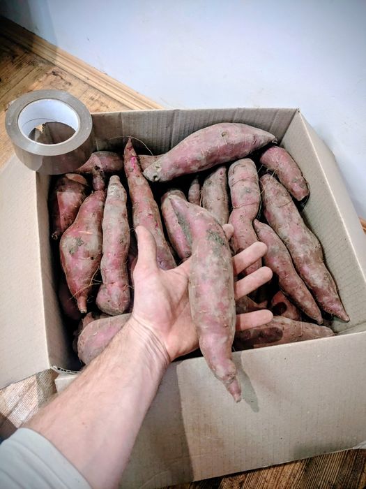 Батат 20кг доставка БЕСПЛАТНАЯ !!!