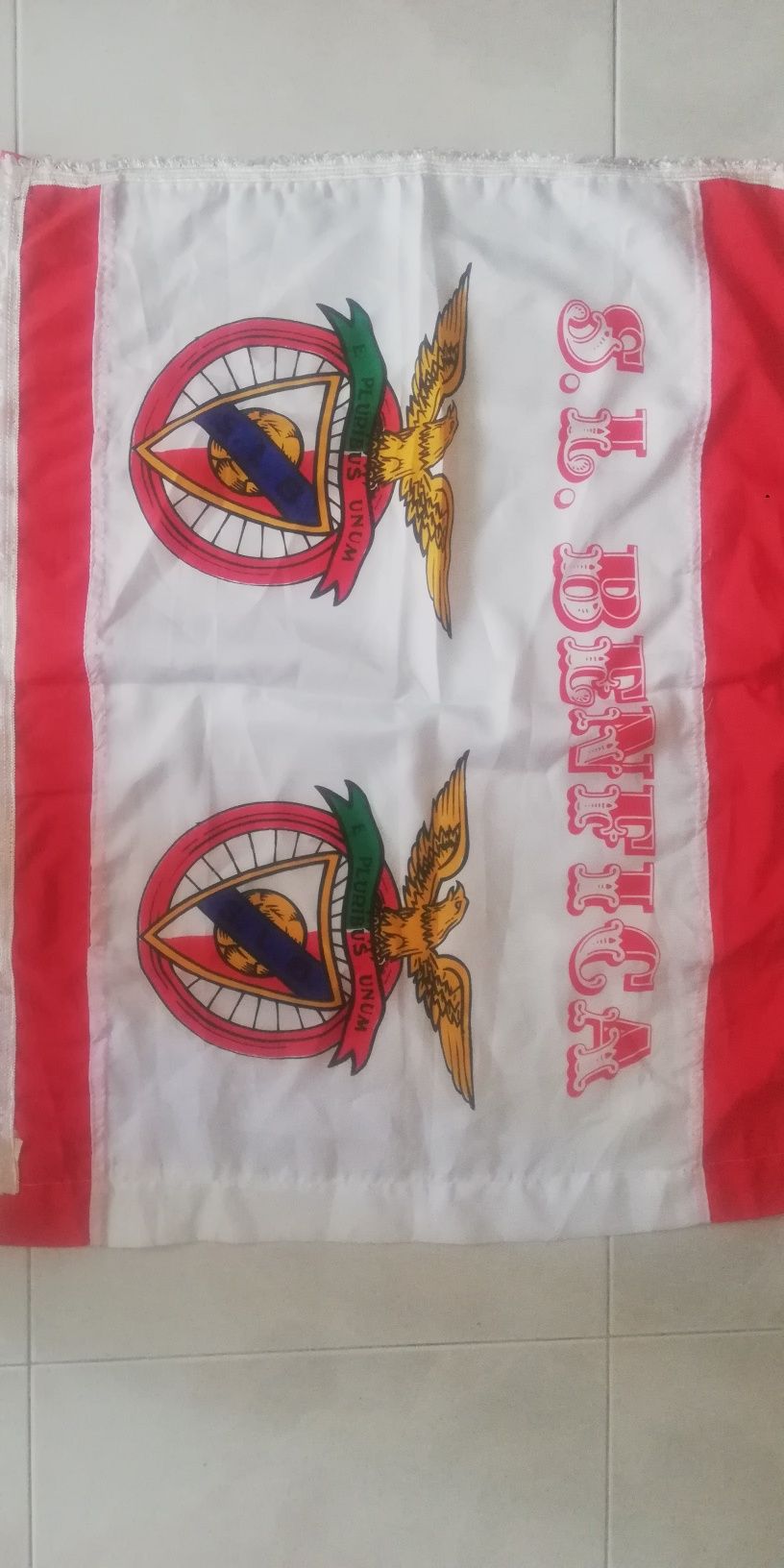 Bandeira do Benfica