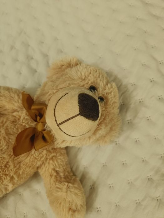 Pluszowy miś brązowy