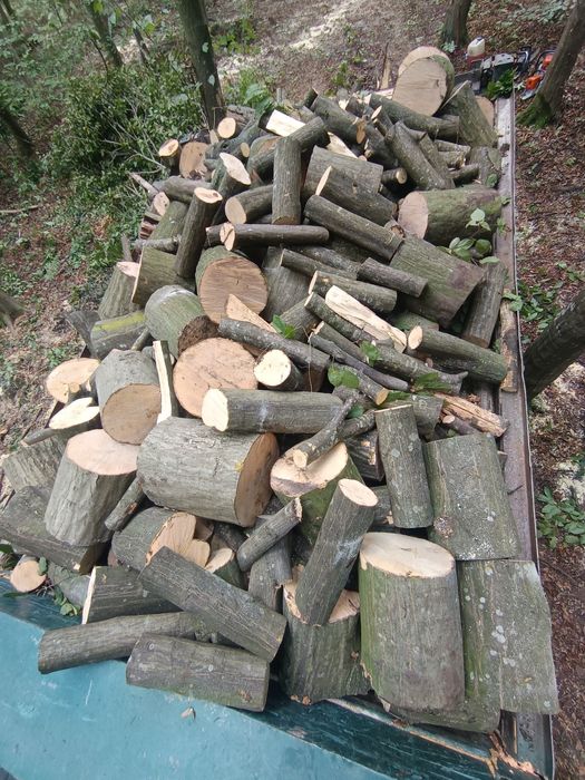 Продам дрова: рубані, чурки твердої породи