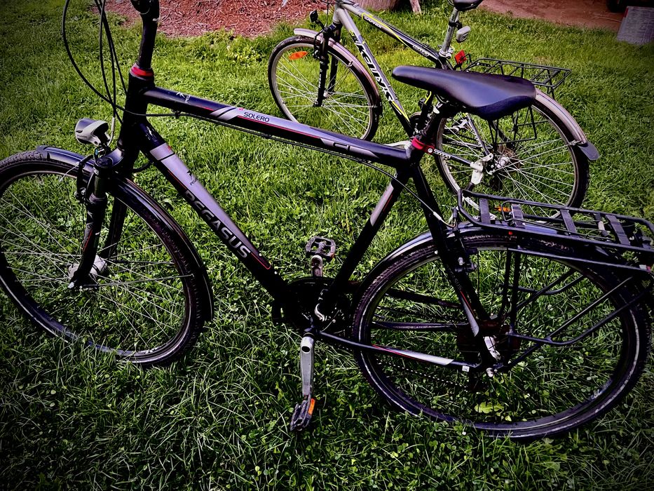 Rower Pegasus Solero SL