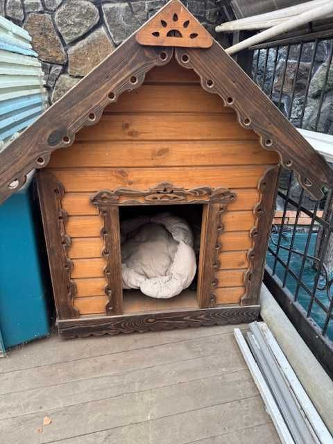 Буда для великих собак