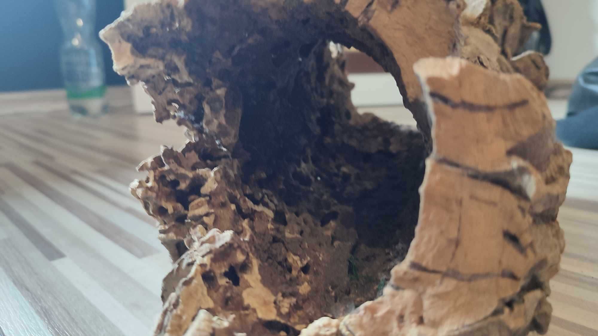 Konar do terrarium dla gekona, duży
