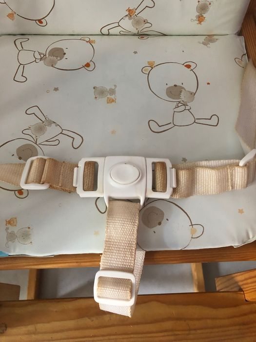 Krzesełko do karmienia ze stolikiem 2w1