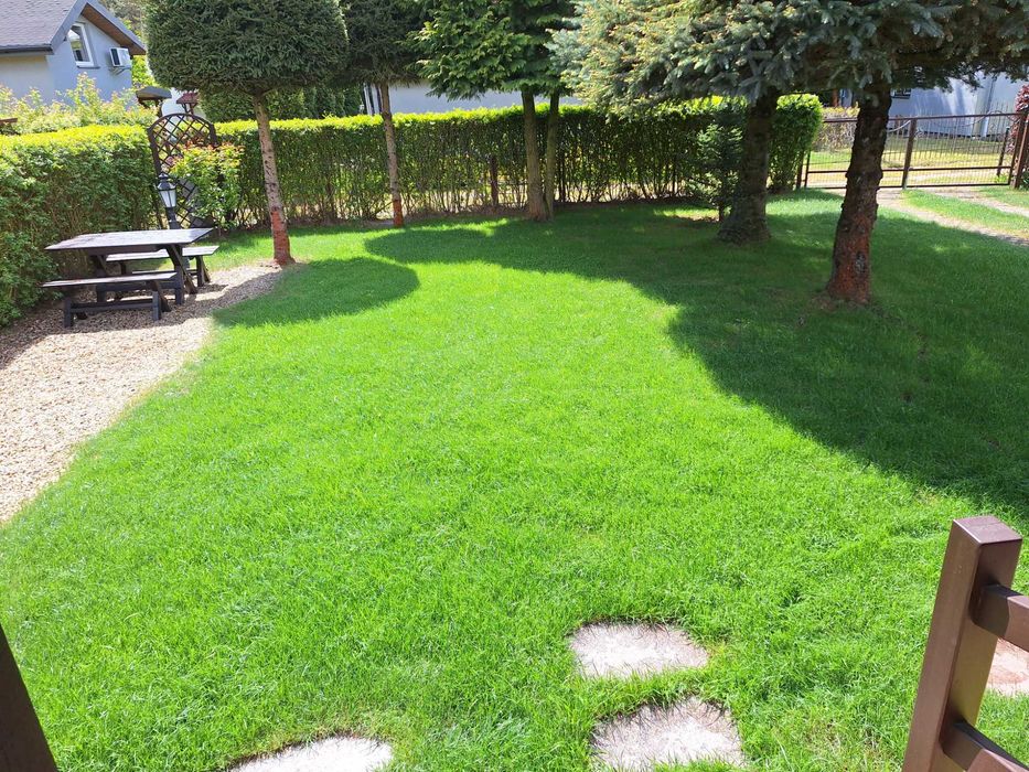 Działka ROD Wudzyn Północ