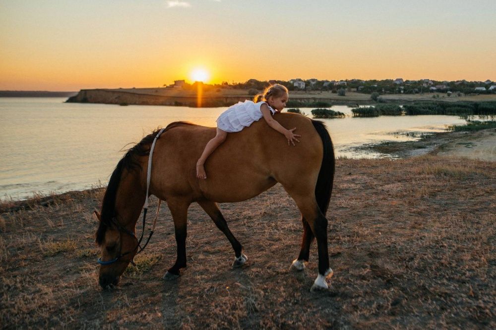 Конные прогулки.Верховая езда.Лошади Одесса