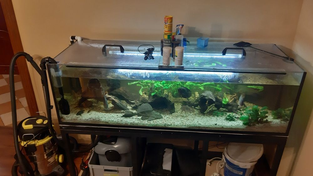 Akwarium 500l 170x60x50 wysokosc  510l