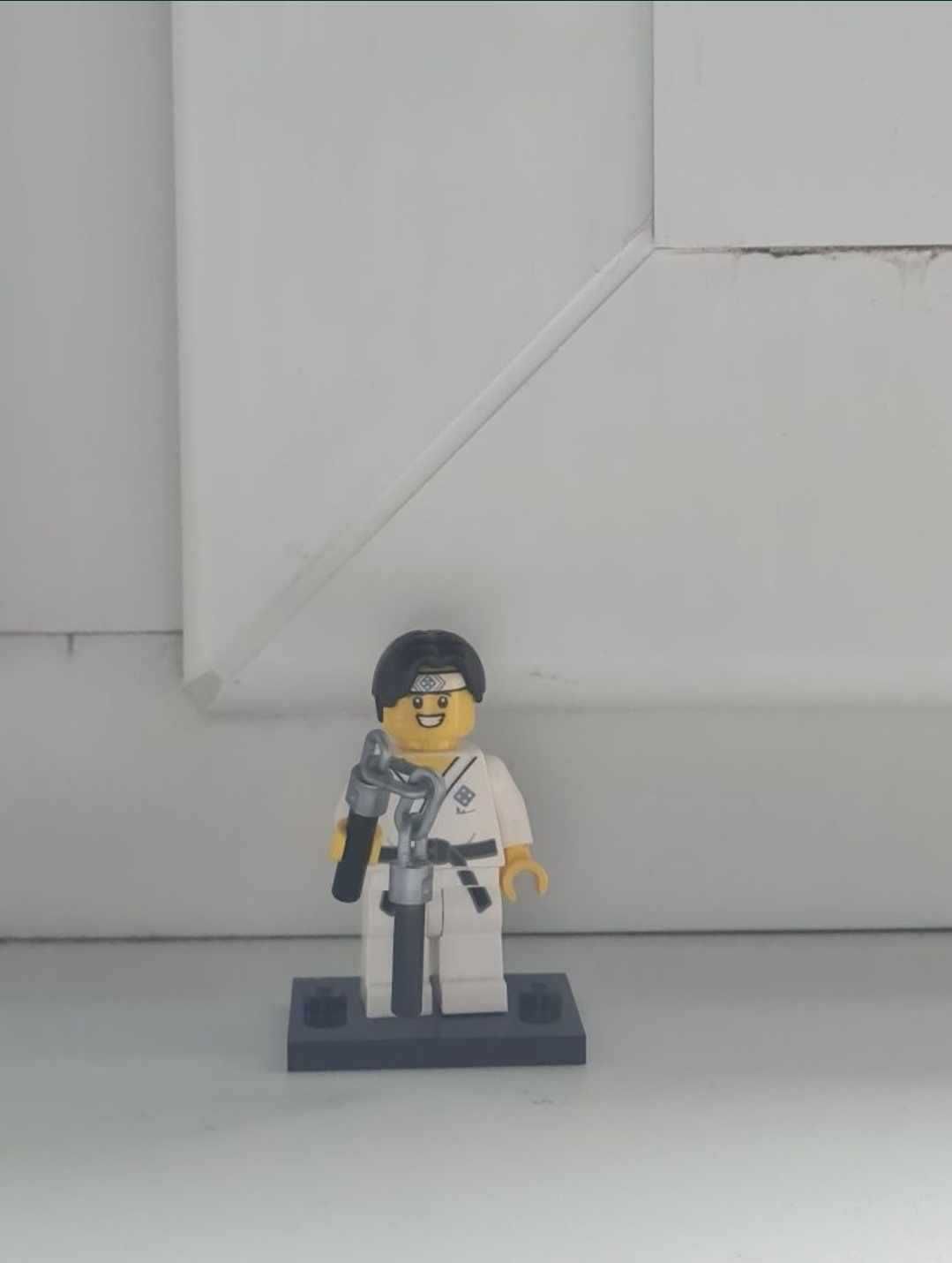 Lego Minifigures Seria 20 Martial Arts Boy