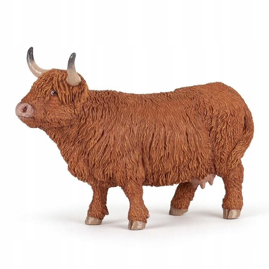 Byk Highland Cattle, Papo