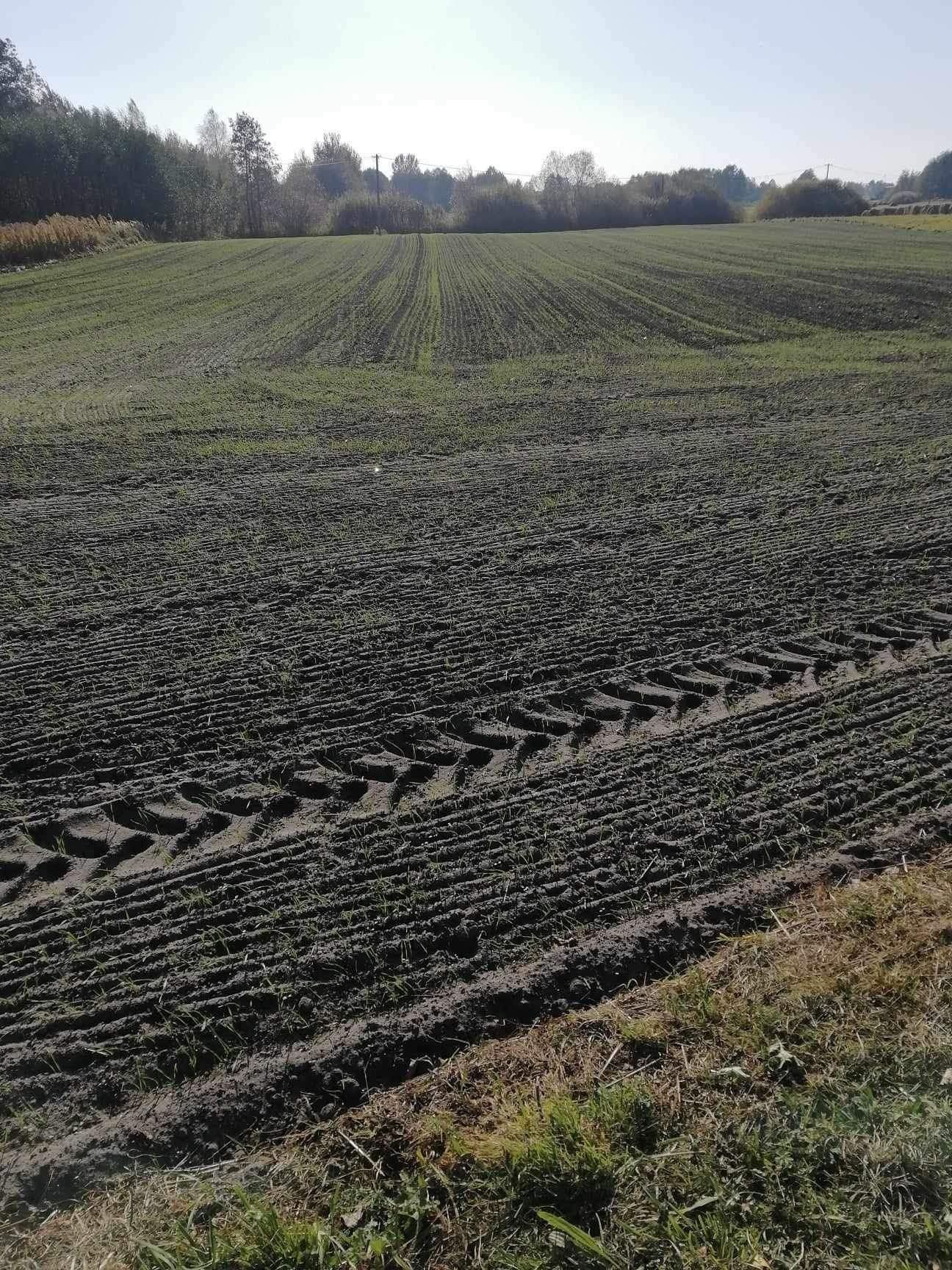 Sprzedam działki budowlane, 15 arów, Ruda-Huta