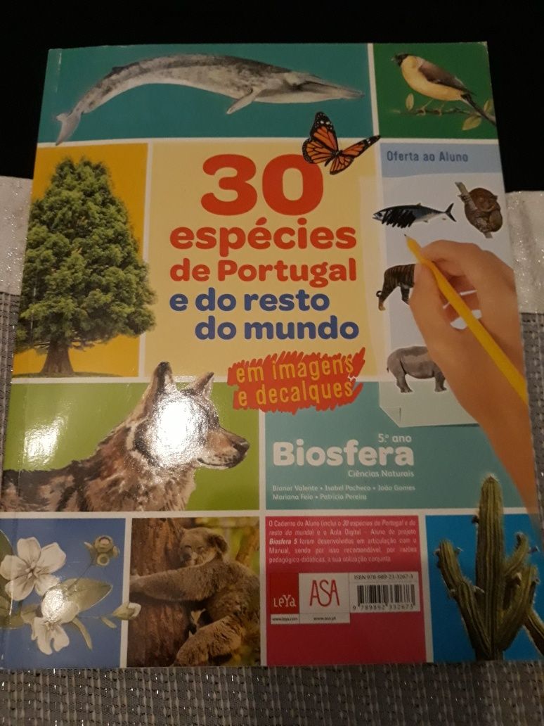 Livros de fichas 5° ano novos