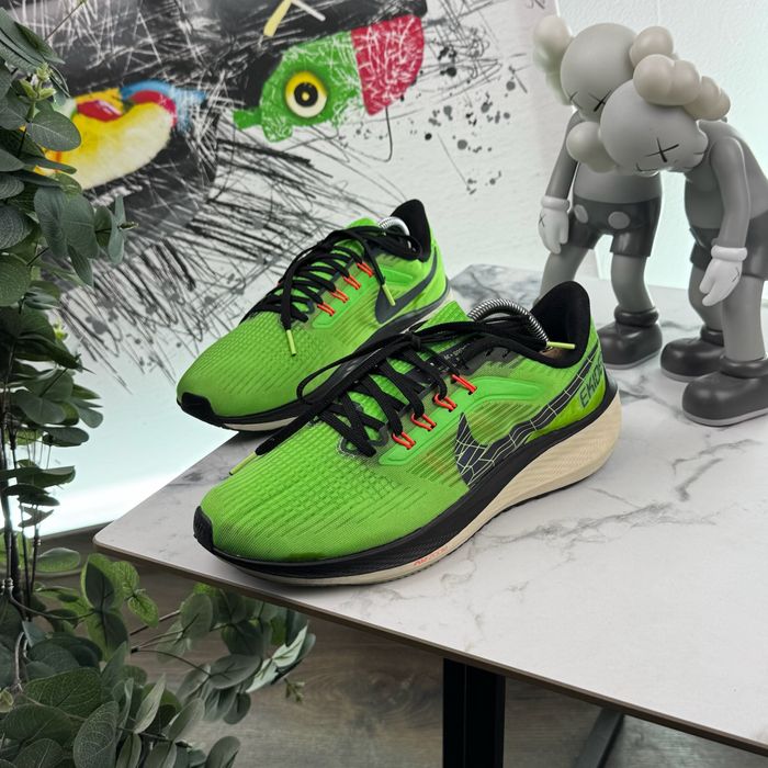 Кросівки Nike Air Zoom Pegasus 39 43  розмір E704