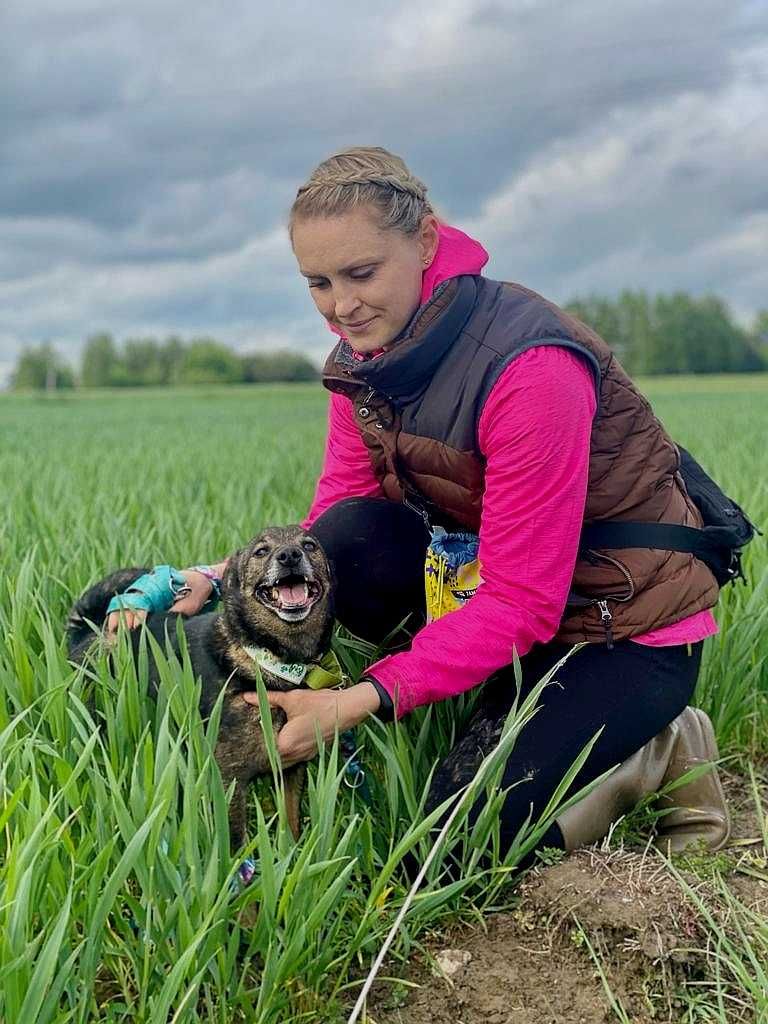 Bryś 6 letni psiak szuka pilnie domu!