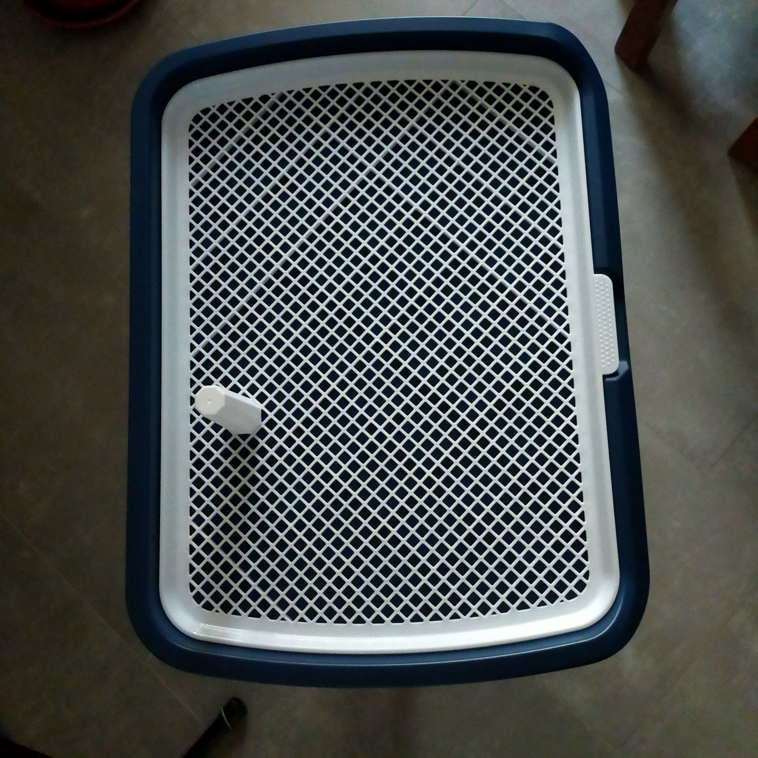 WC para cães medio porte