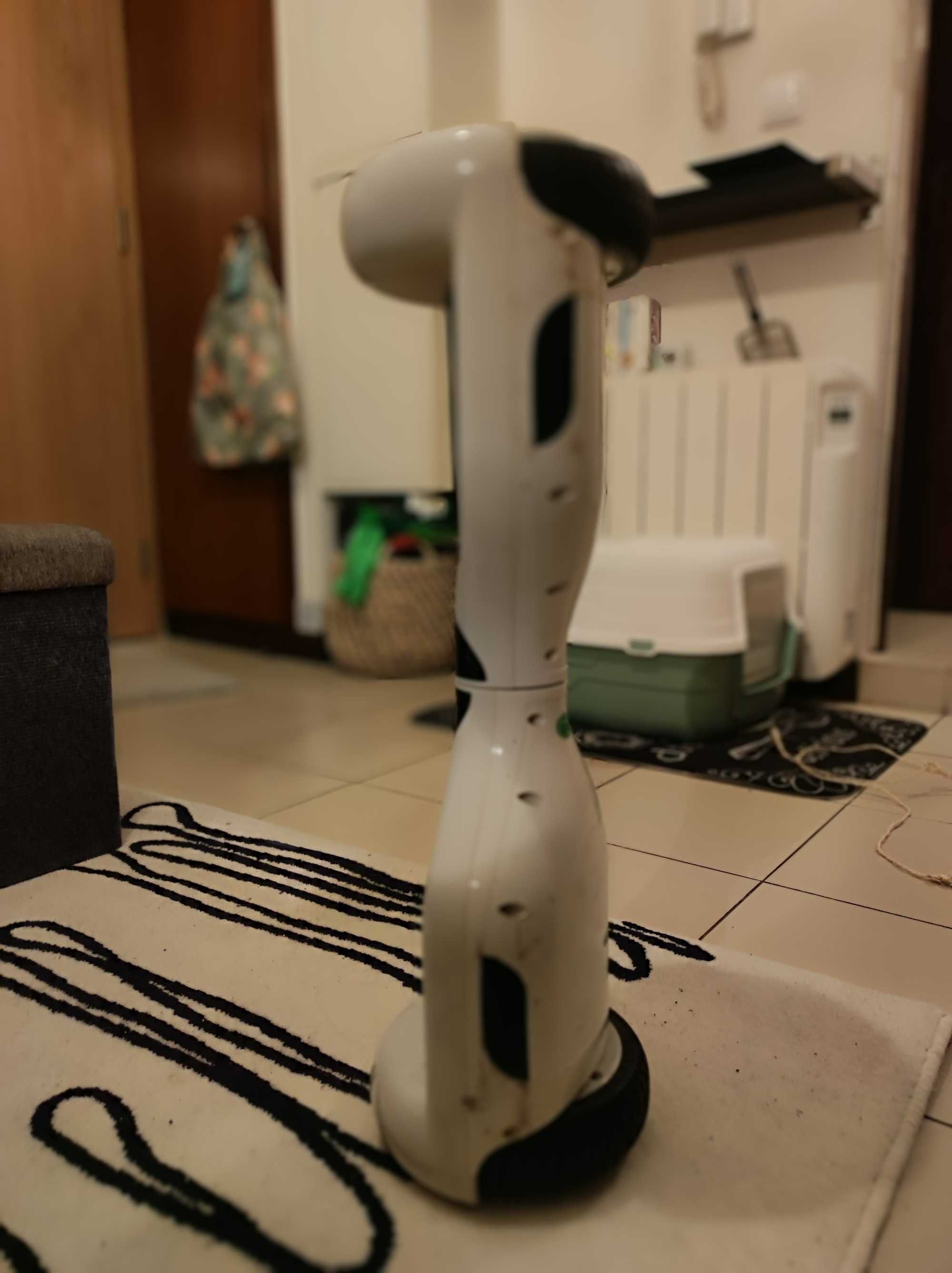 Hoverboard usado
