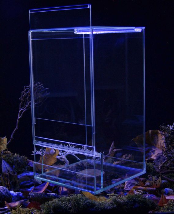 Profesjonalne Terrarium 20x20x35cm szkło potrójna wentylacja EKO