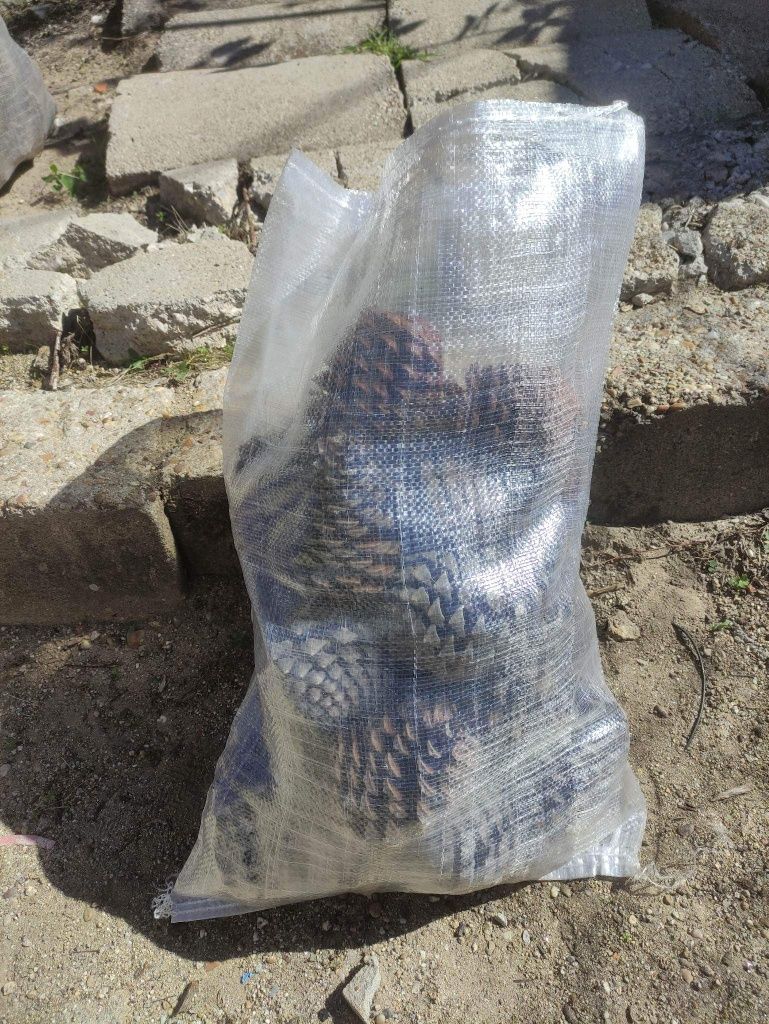 Lenha  Saco +/- 20kgs (seca)