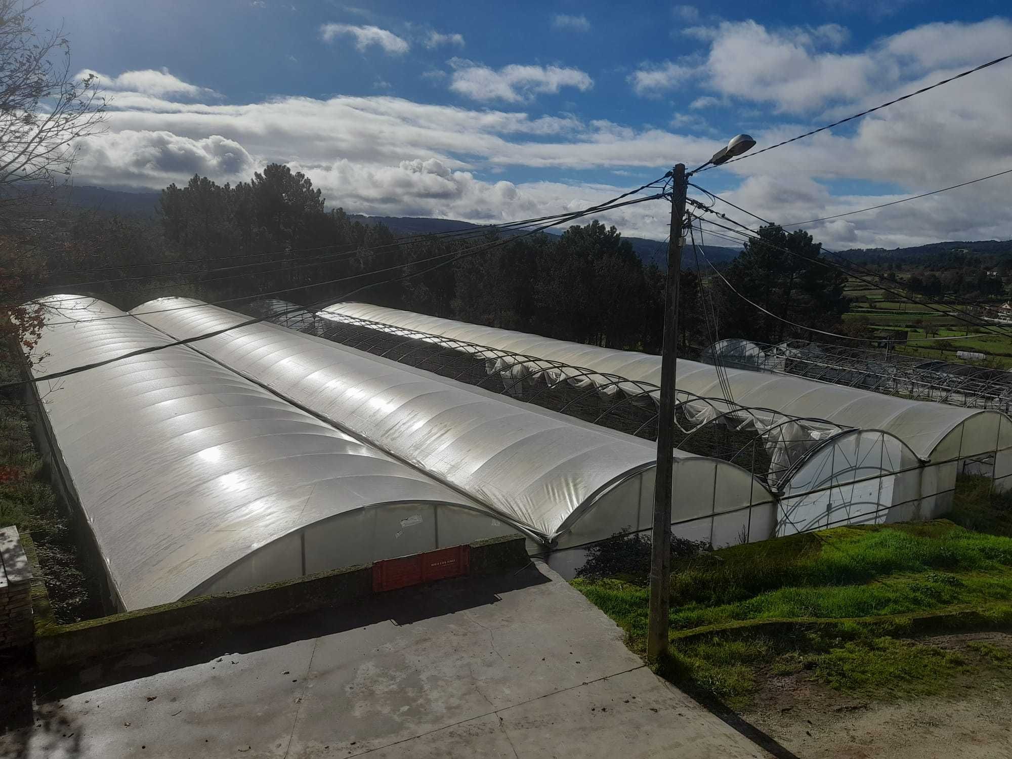 Estufa agricola com 2000 m2