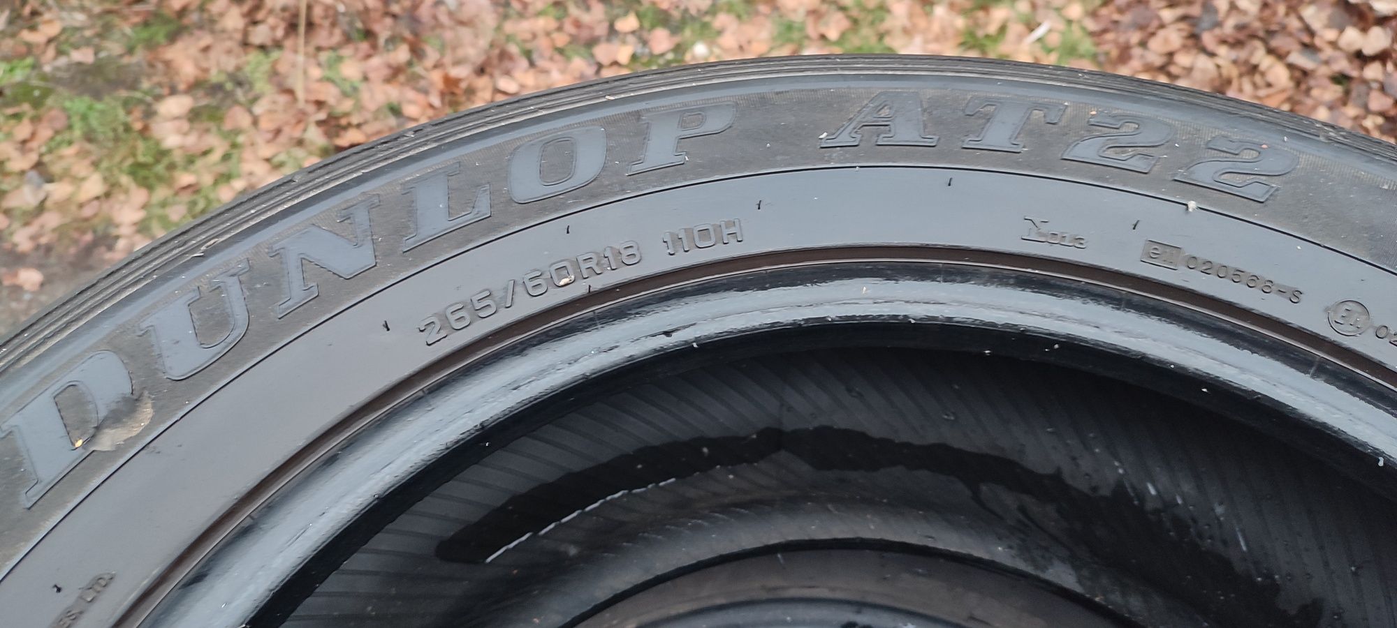 Шини всесезоні  Dunlop 265/60R18  110H AT22