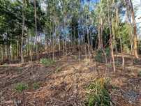 Terreno para construção em Nogueira, Meixedo e Vilar de Murteda de 291