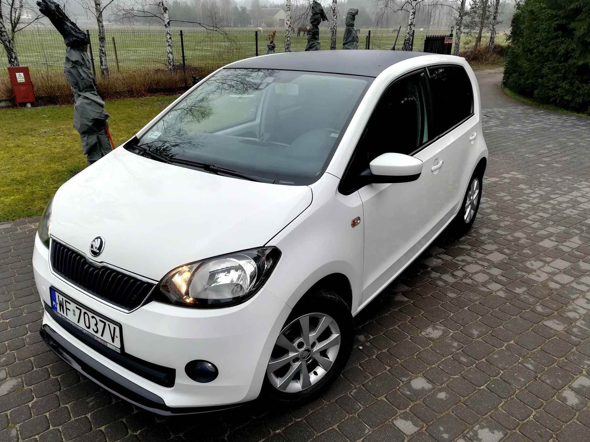 Skoda Citigo Polski Salon