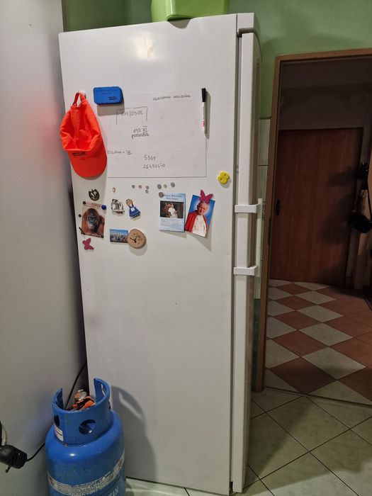 Używana zamrażarka do gastronomii