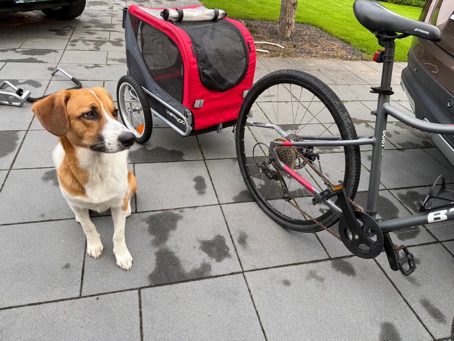 Uniprodo Uni trailer przyczepa rowerowa dla psów