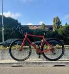 Marin Nicaso 56 | Gravel