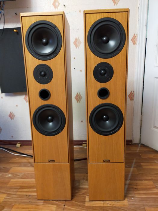 High-end  акустика  (акустические системы)  ,, Magnat M 5 " .