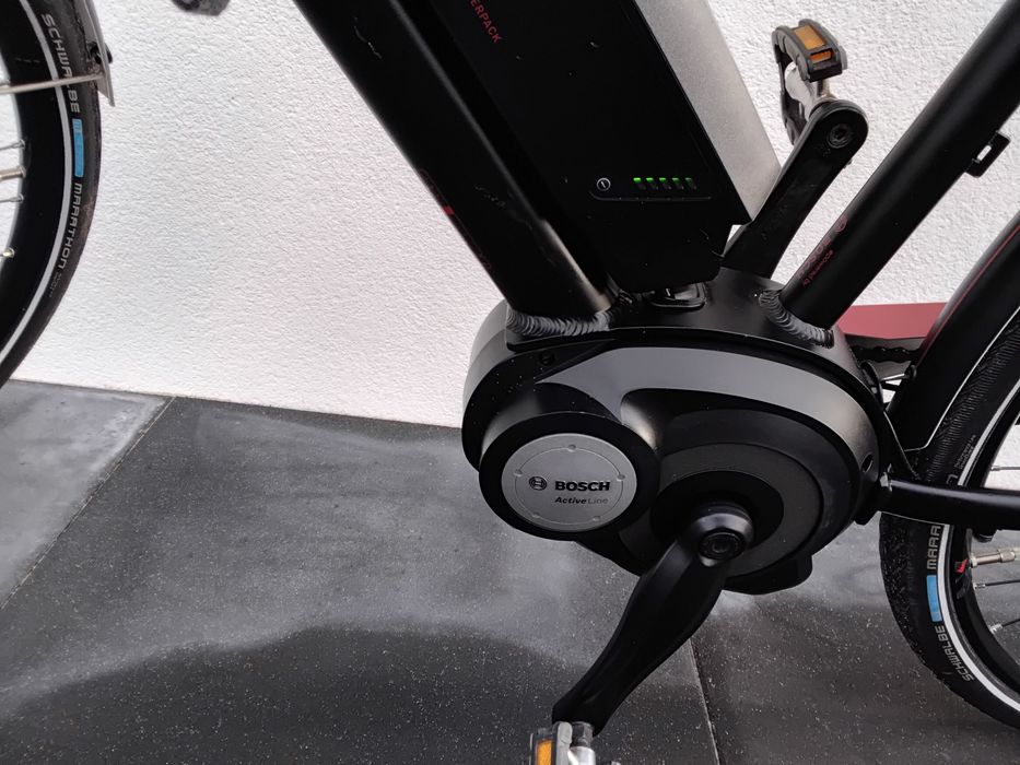 Rower  Elektryczny STRAIGER _SINUS