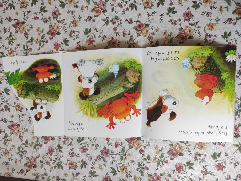 Zestaw 12 książek Phonics Readers Usborne po raz