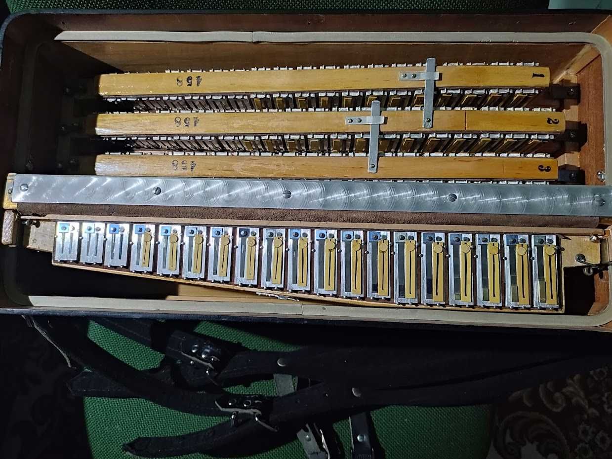 Acordeon com microfones modernos pilha 9v troco por dois