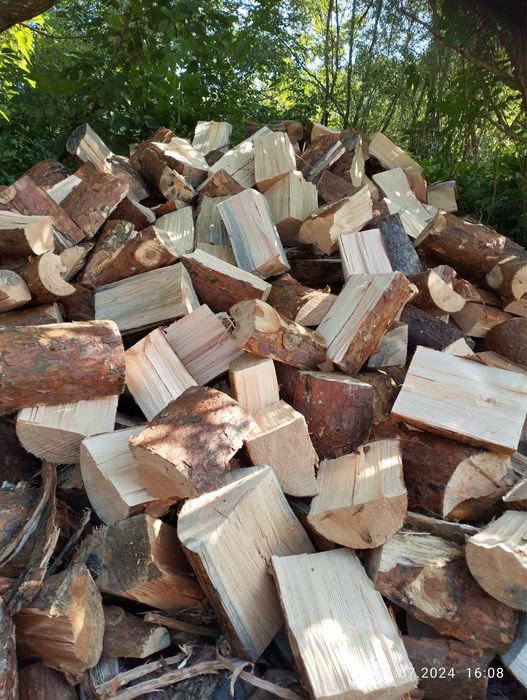 Drewno opałowe Buk/sosna