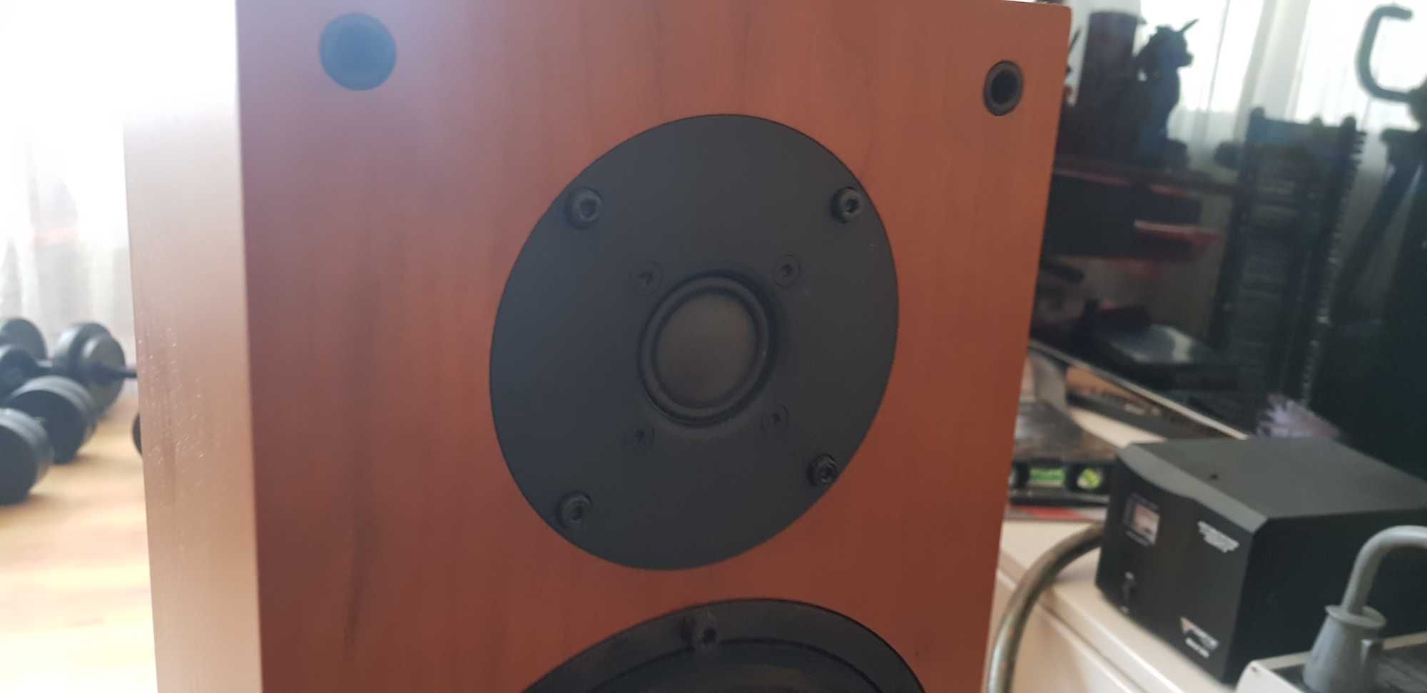 Підлогова акустика Spendor 6SE