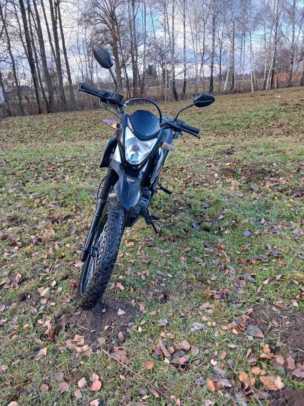 Продам лонкін прус